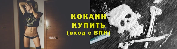 сатива Волоколамск