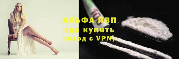 сатива Волоколамск