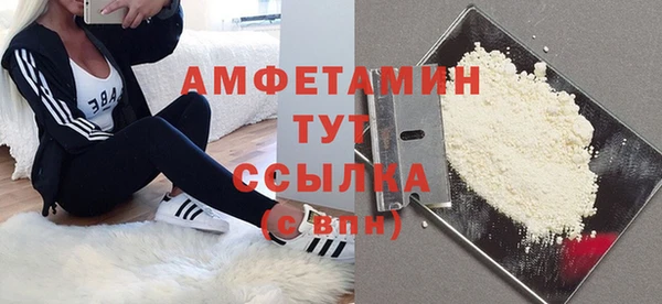 сатива Волоколамск
