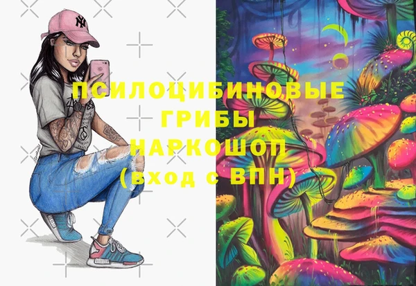 сатива Волоколамск