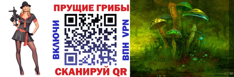 Псилоцибиновые грибы Psilocybine cubensis  Купить где  Курильск 